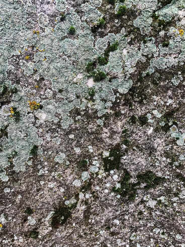 Mountain rock background. Rock texture. Stone backdrop photo