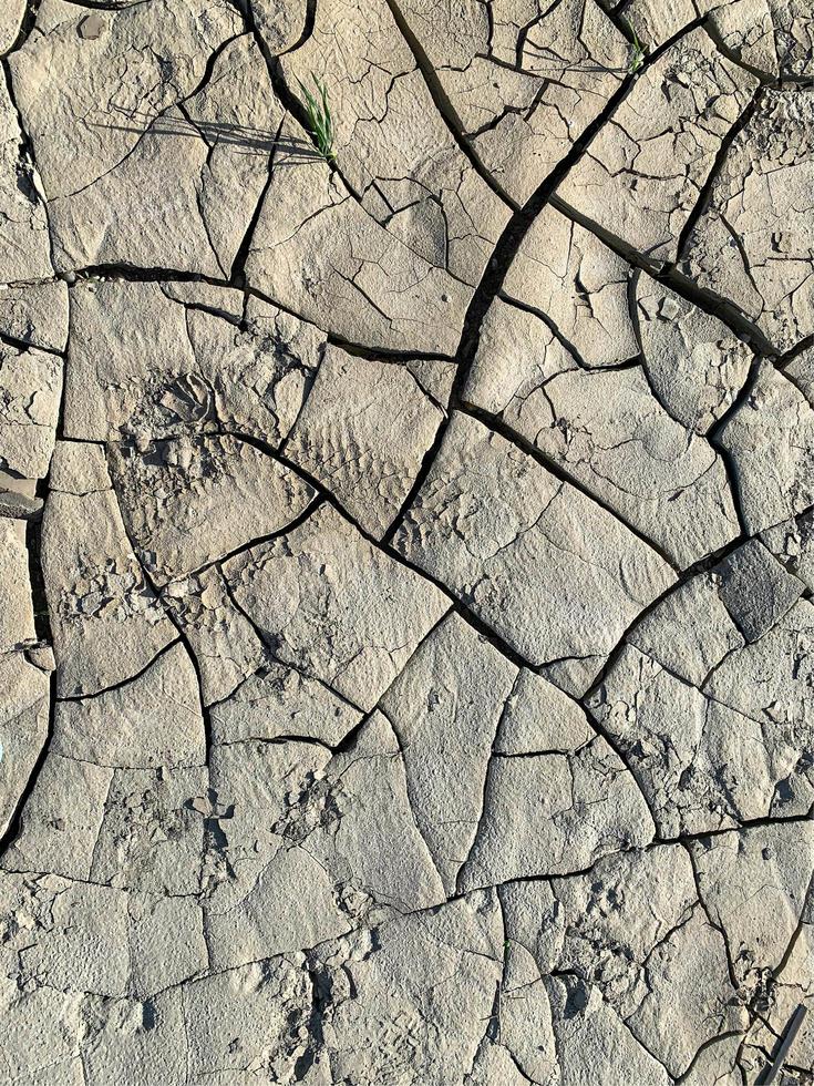 Mountain rock background. Rock texture. Stone backdrop photo