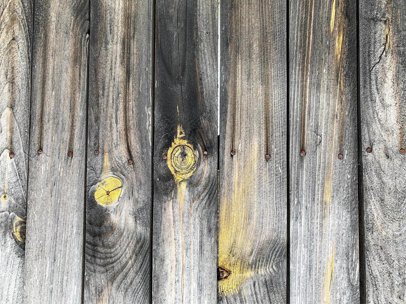 Wooden wall background. Fence backdrop. Plank made from wood photo