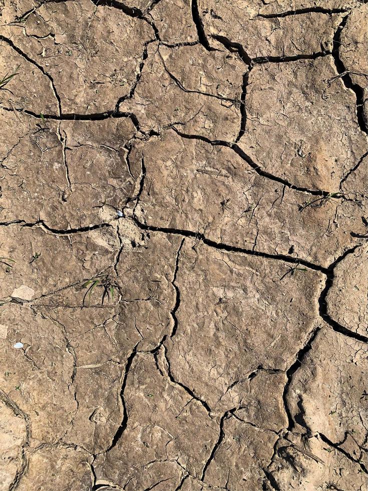 Mountain rock background. Rock texture. Stone backdrop photo