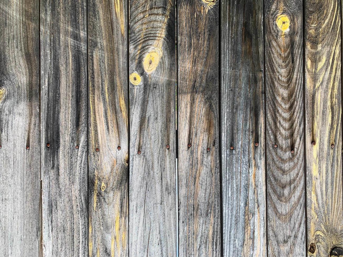 Wooden wall background. Fence backdrop. Plank made from wood photo