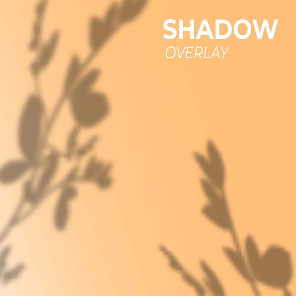 Shadow overlay leaf theme for beautiful backround vector