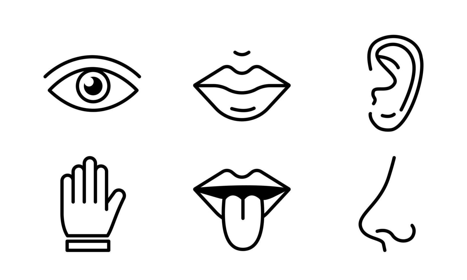 Human sense five types. Vision through eye, smell with nose, taste with tongue. Symbols Drawn icon. Isolated flat vector illustration on white background