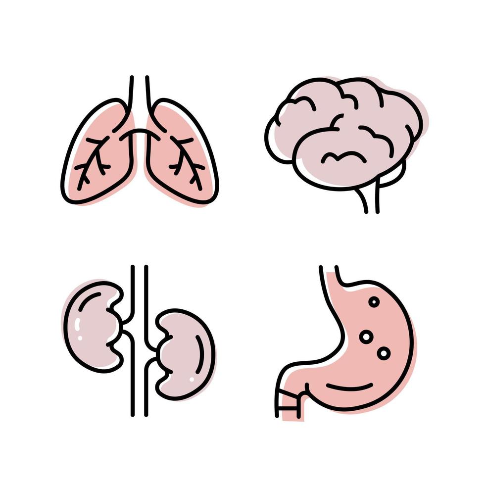 Intestines flat icon. Collection of outline symbols. Graphic Set of humans organs Brain Lungs Stomach Kidneys. Vector illustration on white background