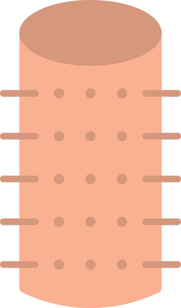 Rollers Flat Color Icon vector