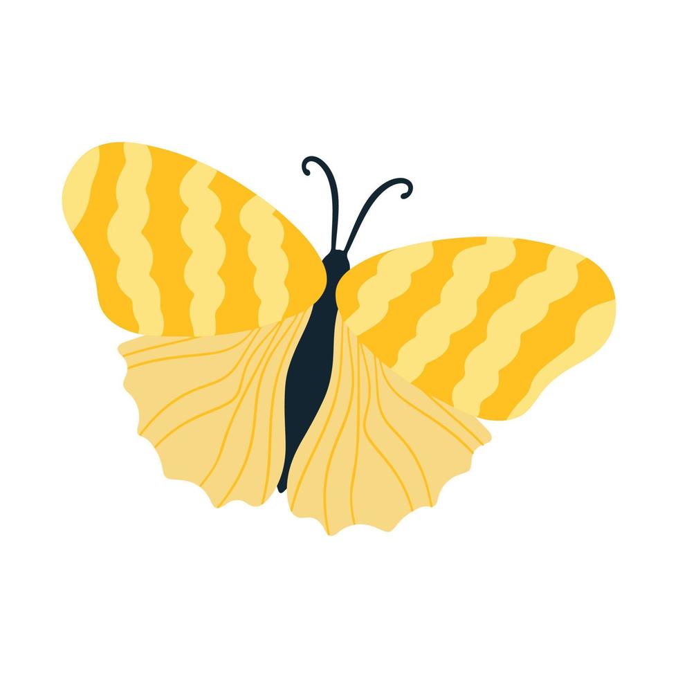 Tropical butterfly moth with multicolored wings and antennae isolated on a white background. Flying moth top view. An exotic spring insect. Vector illustration flat style