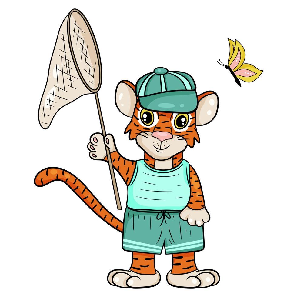 Tiger in cap with butterfly net. The symbol of the new year according to the Chinese or Eastern calendar. Vector editable illustration, cartoon style