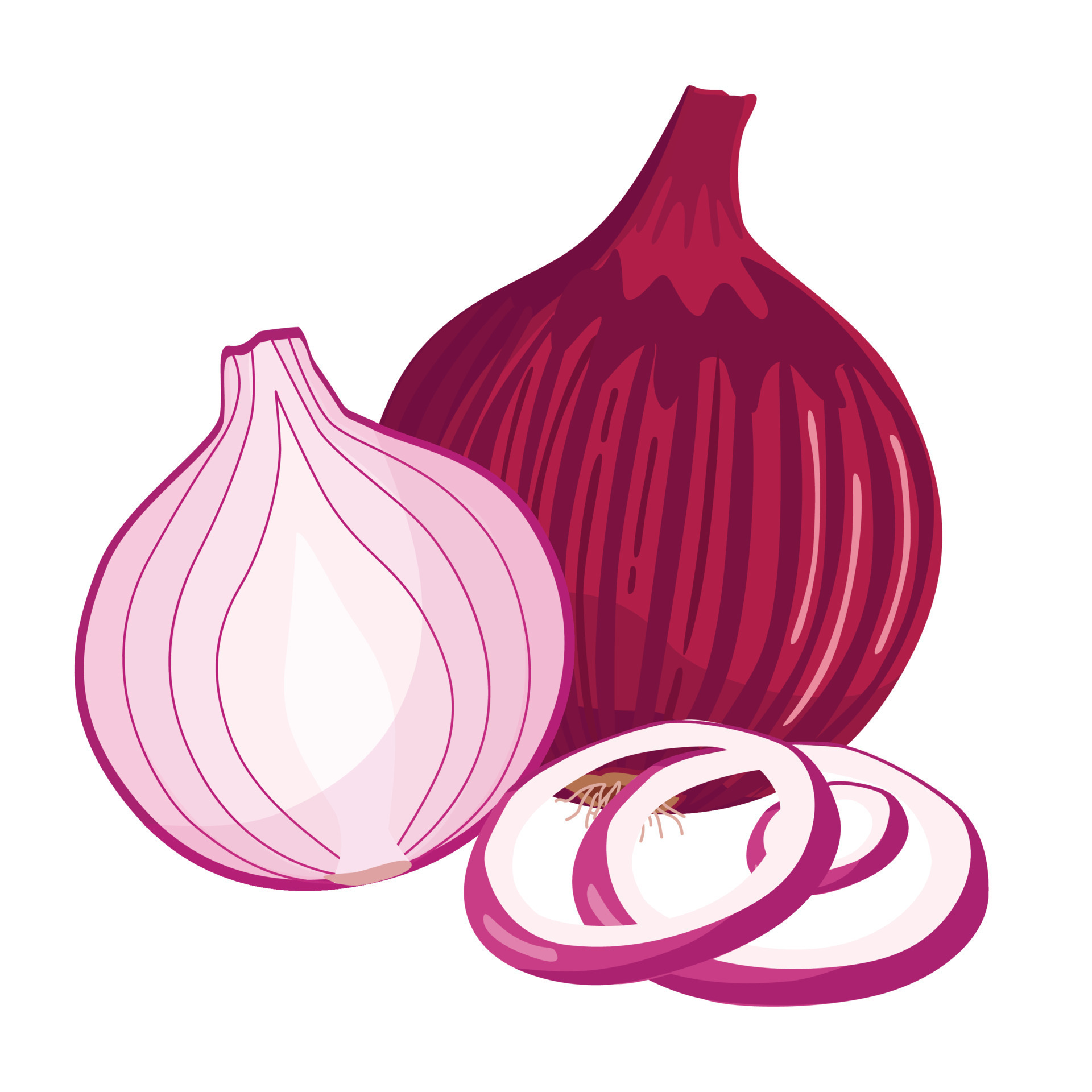 Whole, half, and sliced red onions isolated on white background. Vector  cartoon illustration. 7343259 Vector Art at Vecteezy