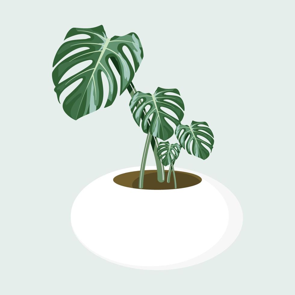 monstera en el diseño de vectores de macetas.