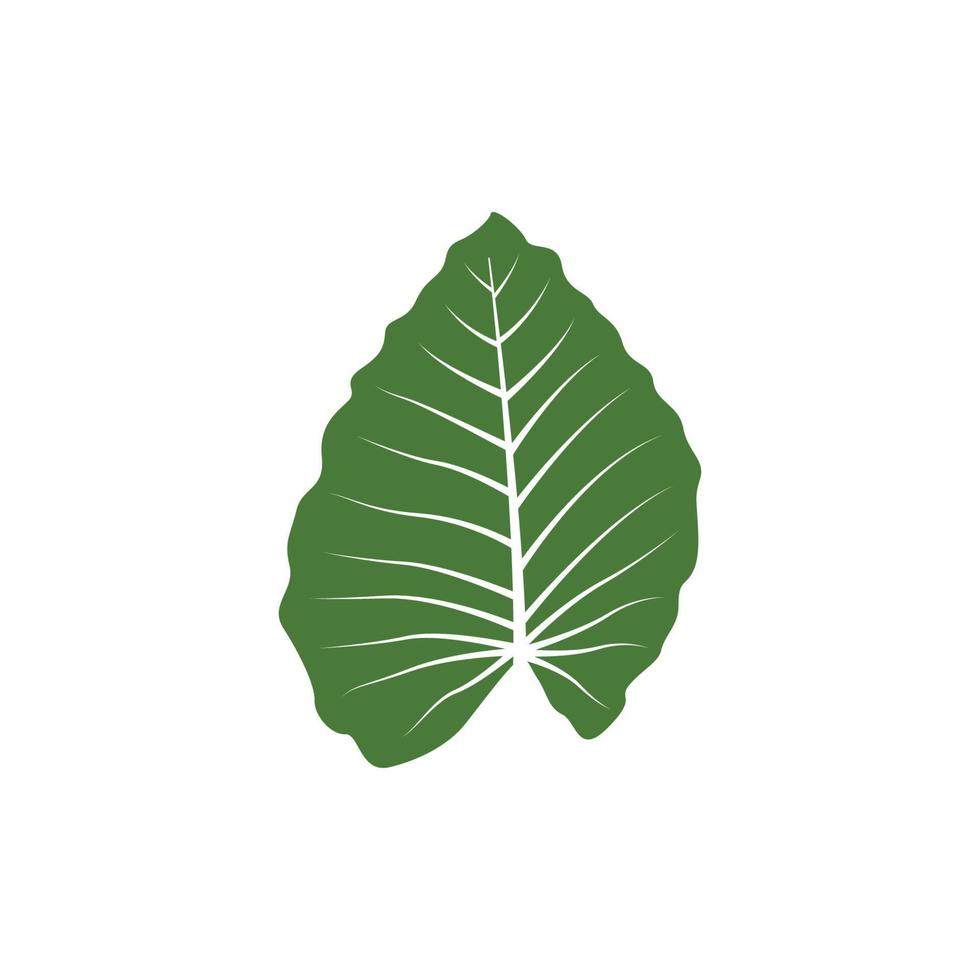 vector de plantilla de diseño gráfico de hoja verde
