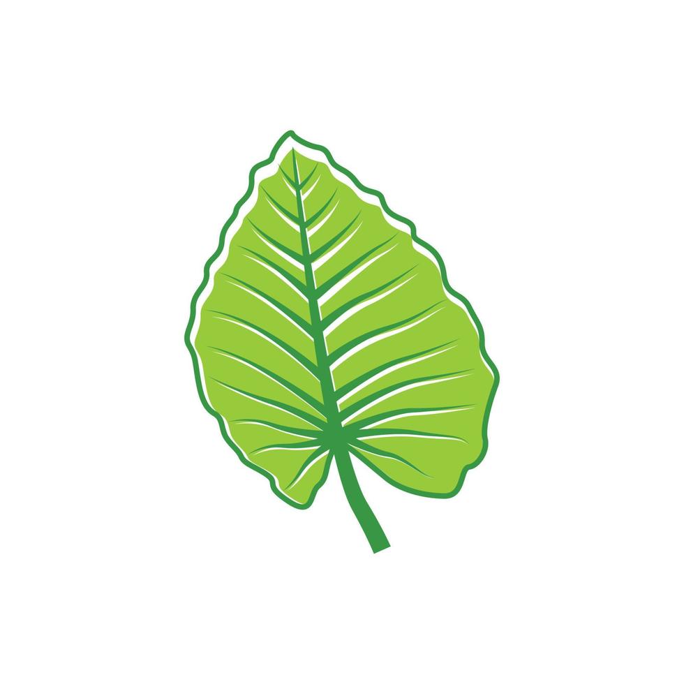 vector de plantilla de diseño gráfico de hoja verde