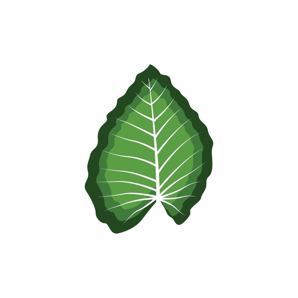 vector de plantilla de diseño gráfico de hoja verde