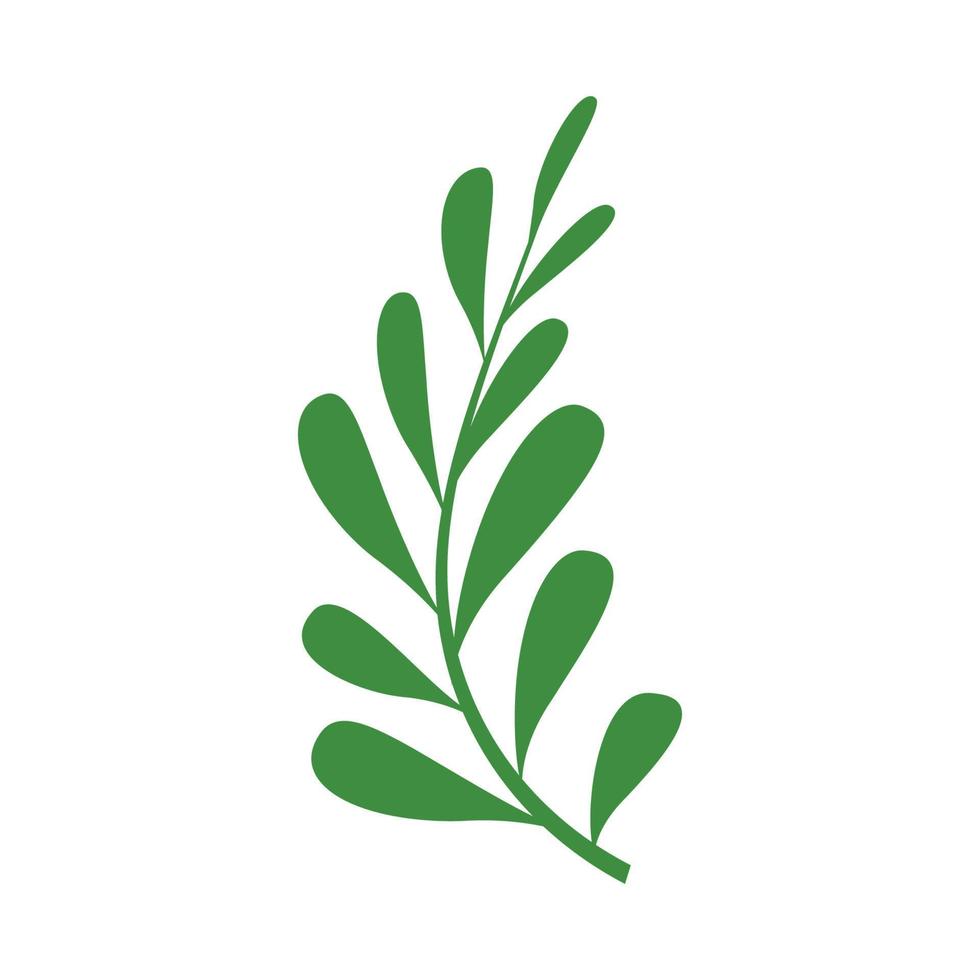 vector de plantilla de diseño gráfico de rama de hoja