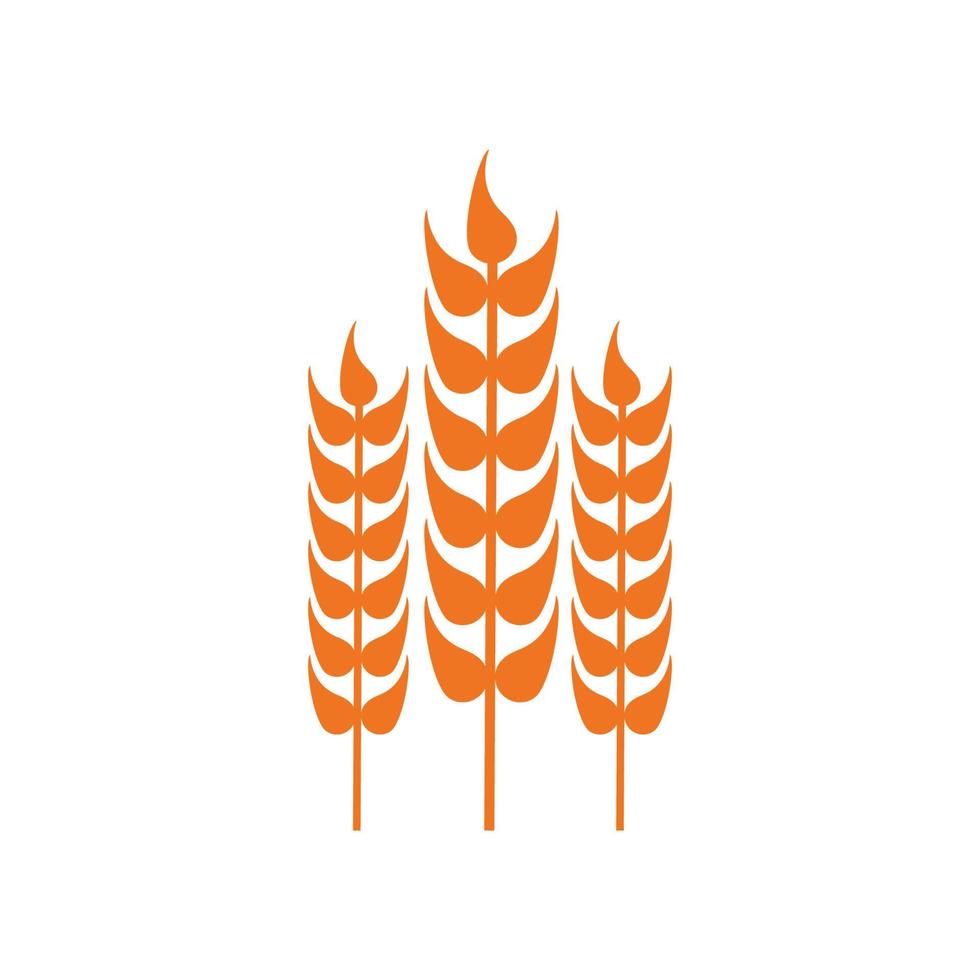 Wheat and rice icon logo design template vector