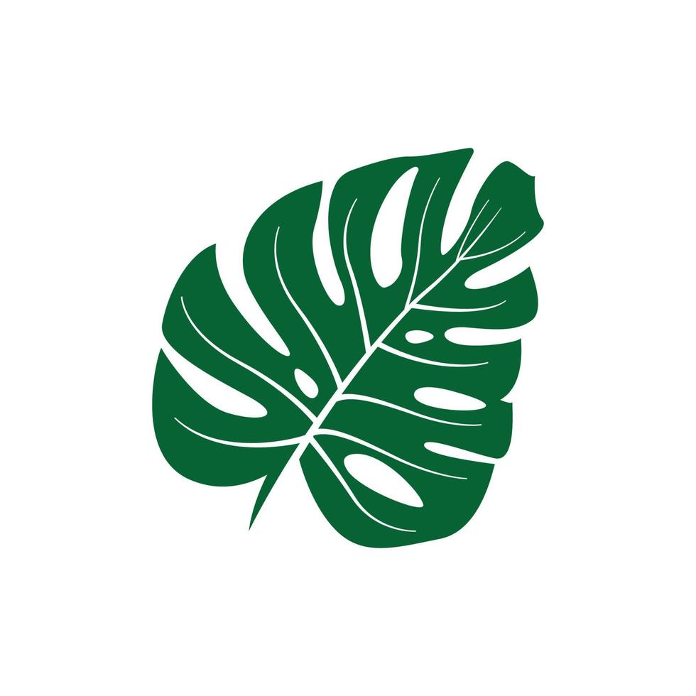 monstera leaf logo icon design template vector