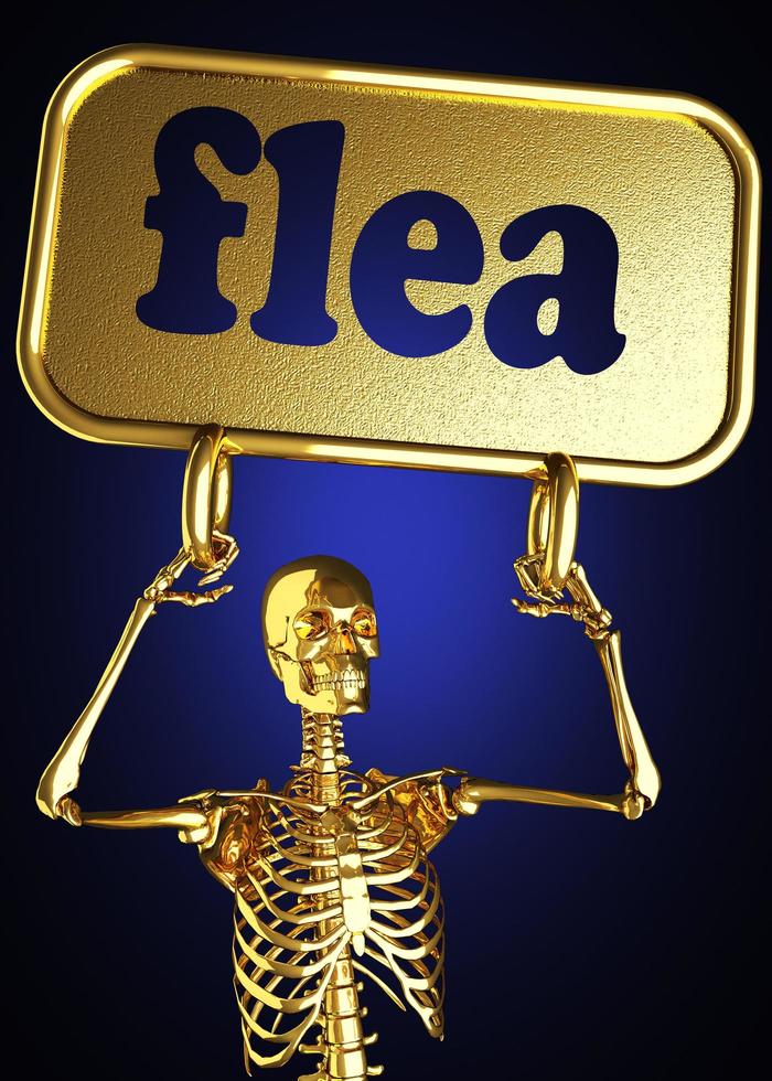 flea word and golden skeleton photo