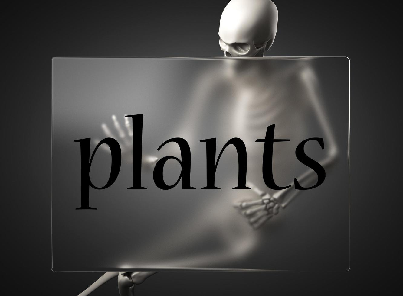 palabra de plantas en vidrio y esqueleto foto