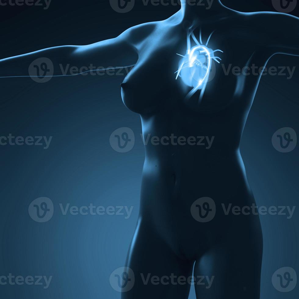 science anatomy of human body with glow heart photo