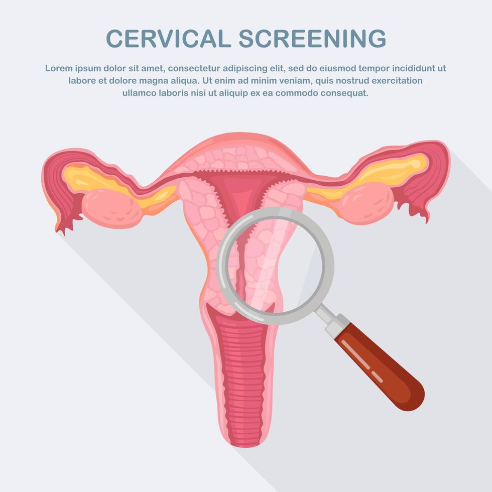 Cervical screening, examination for cancer. Uterus with ovary, cervix, fallopian tubes, magnifier. Vector design