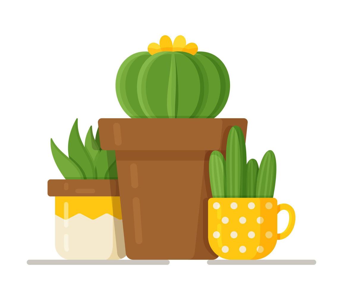 Vector illustration of cactus concept. Beautiful room flowers in vases.