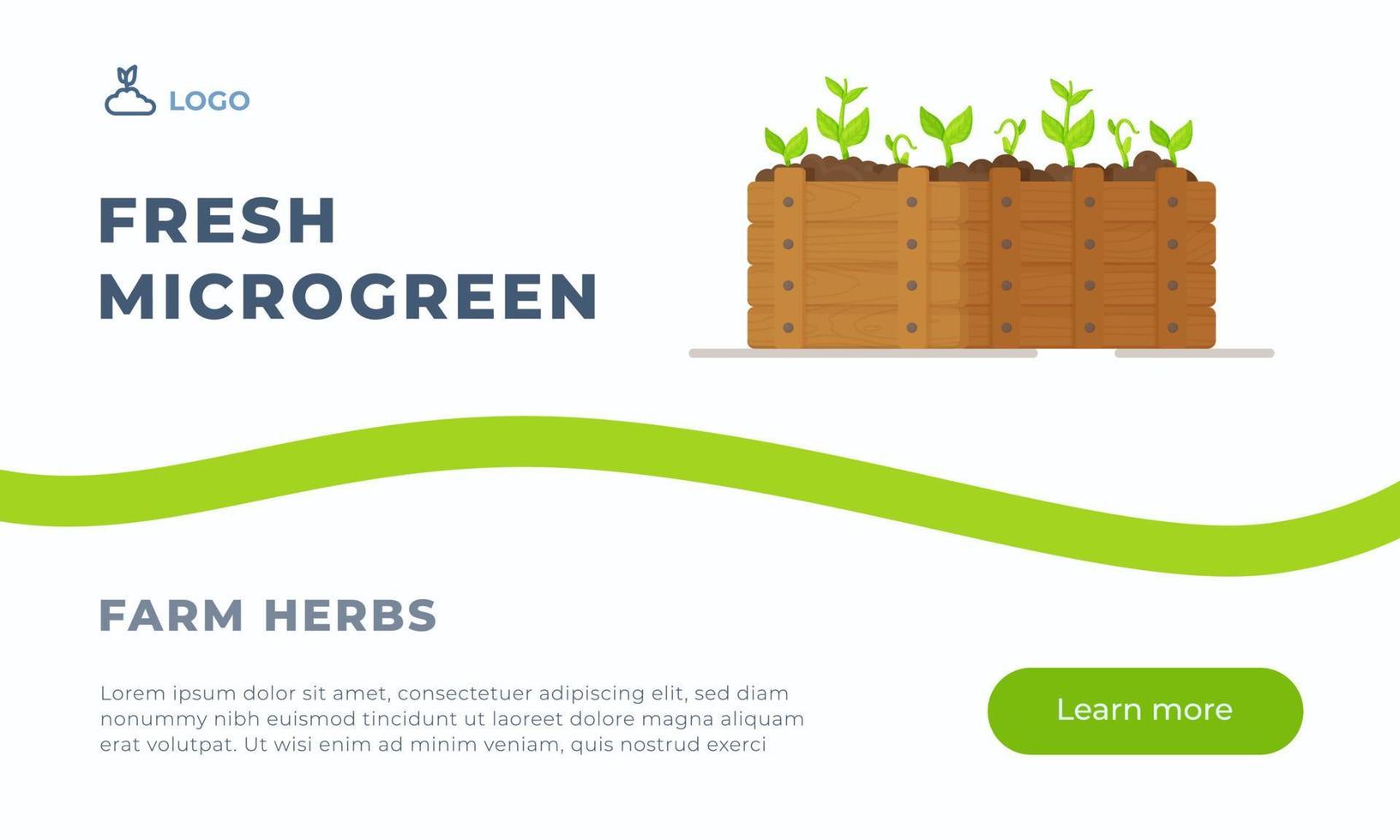 Vector illustration of fresh microgreen. Microgreen as vegetable greens growing in a wooden box.