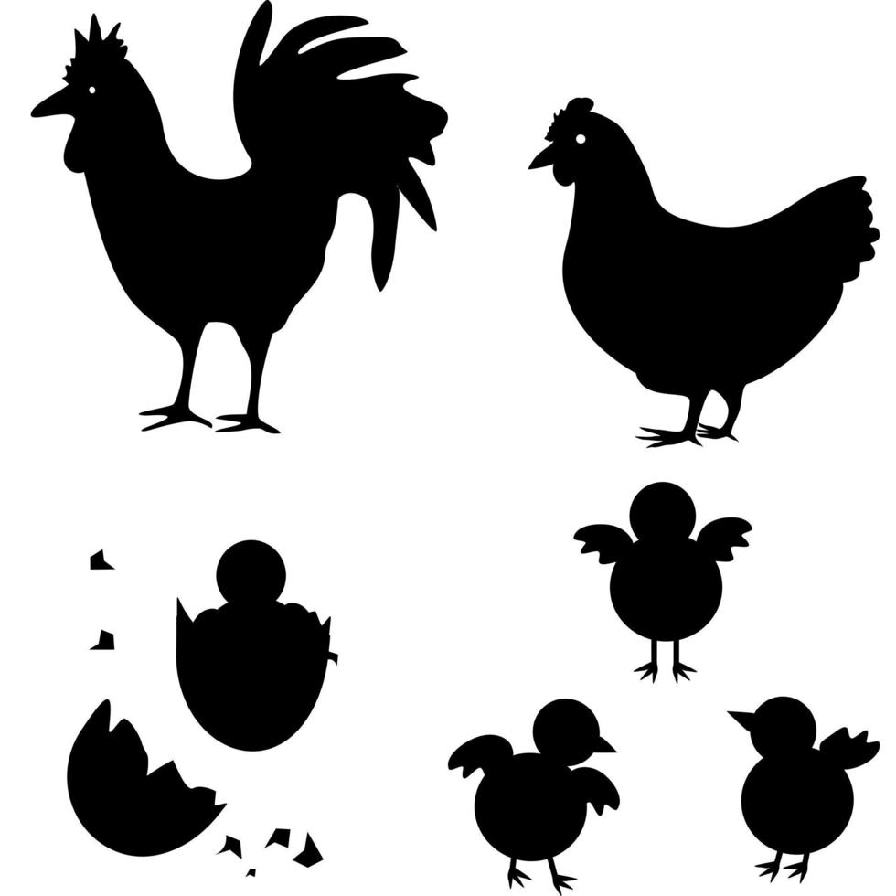 Poultry. Rooster chicken birds Silhouette. Abstract on white background vector