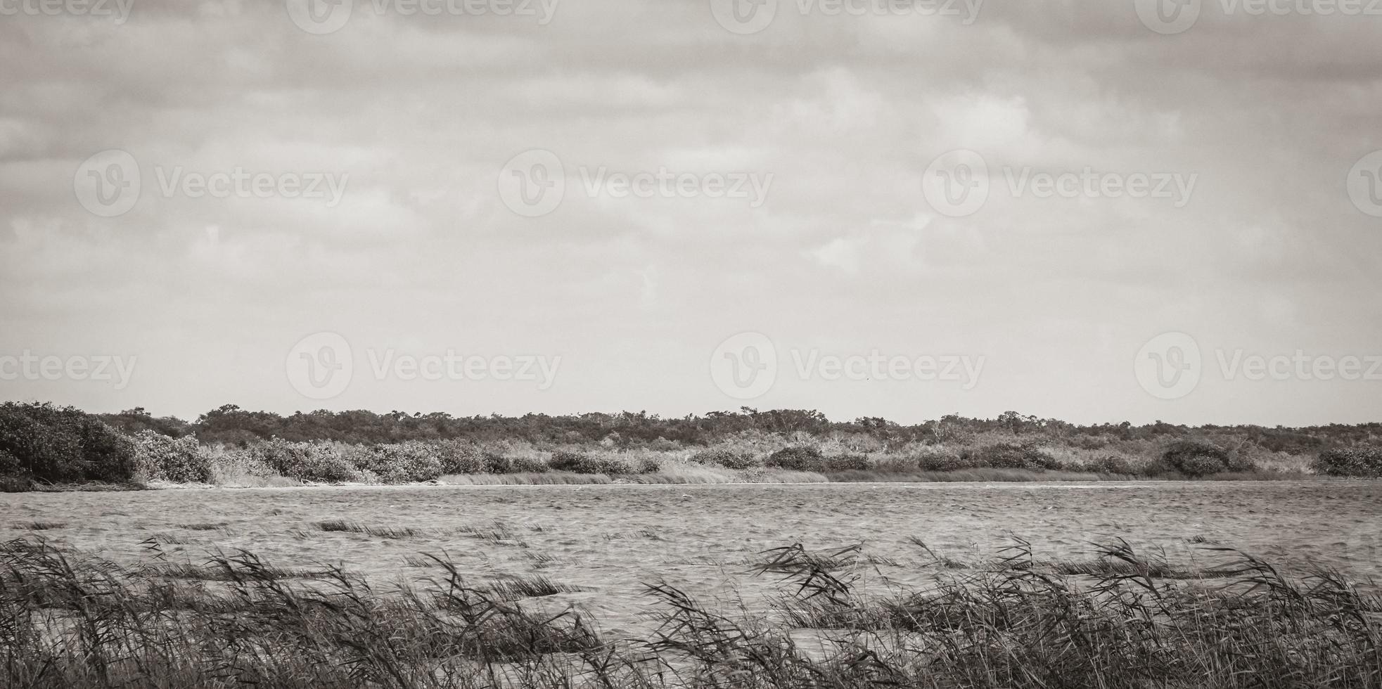 Muyil Lagoon panorama view landscape nature turquoise water Mexico. photo