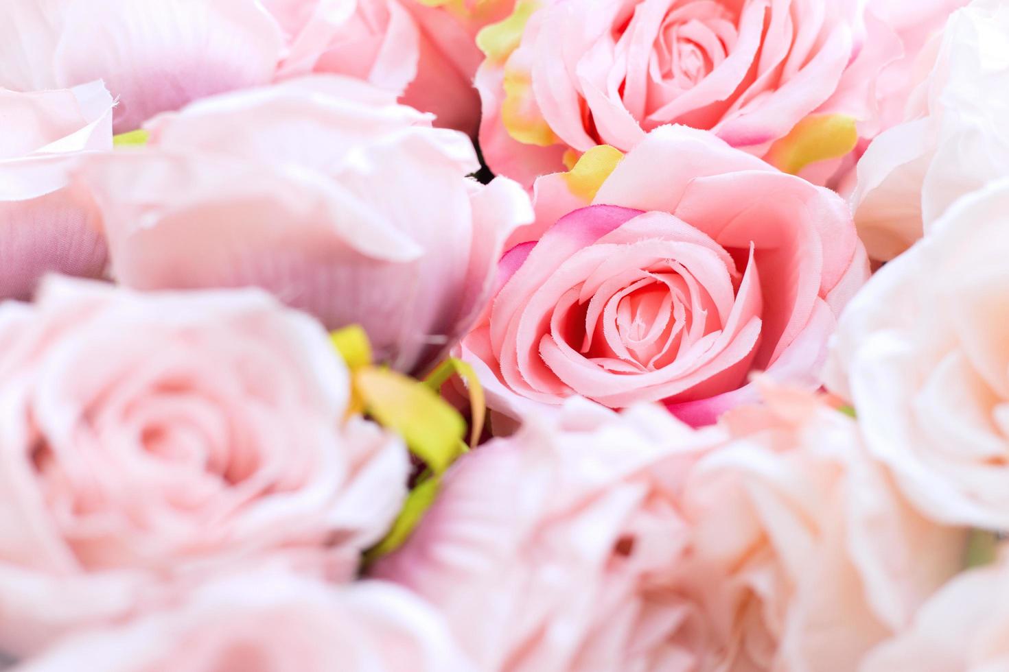 Pink rose flowers bouquet photo