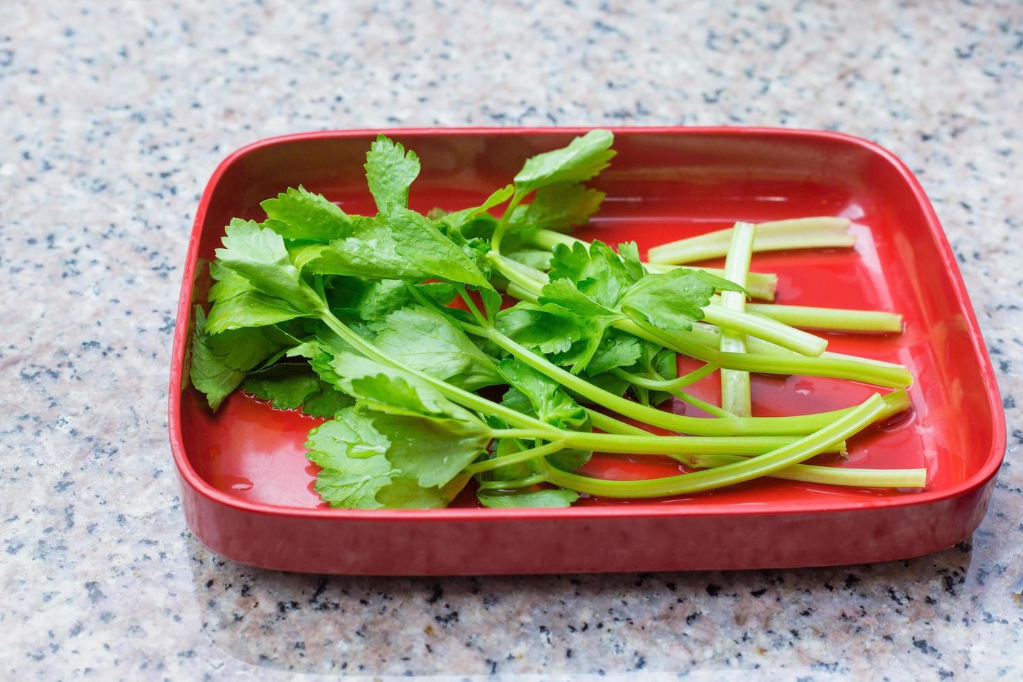 Fresh Celery was a vegetable which put on red plate and served in Shabu Sukiyaki restaurant. photo