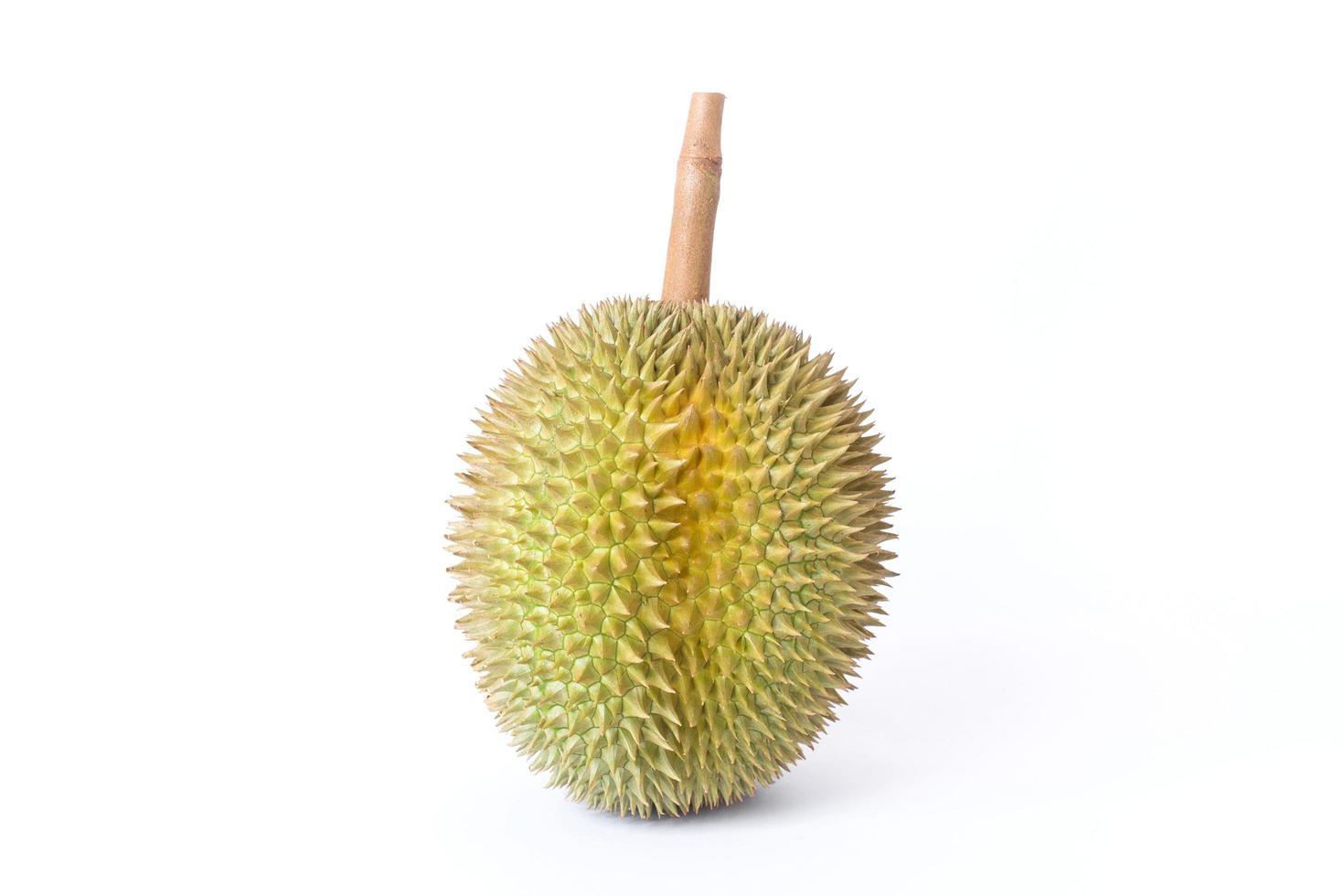 durian como rey de la fruta en tailandia. tiene un olor fuerte y una corteza cubierta de espinas. foto