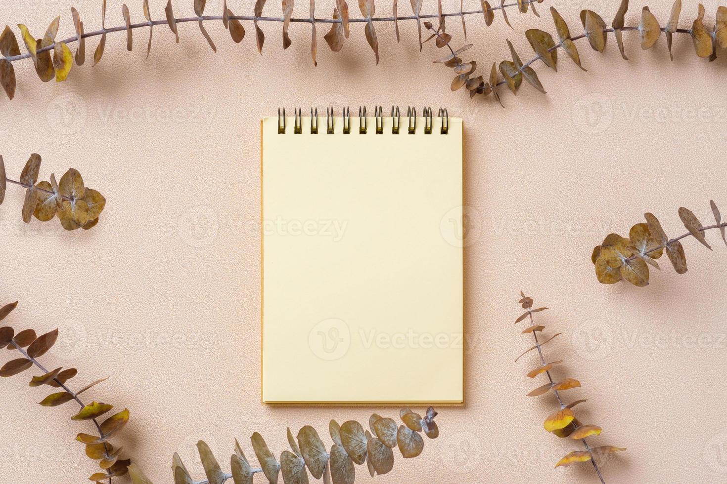 blank notebook with eucalyptus mock up on  pastel peach table photo