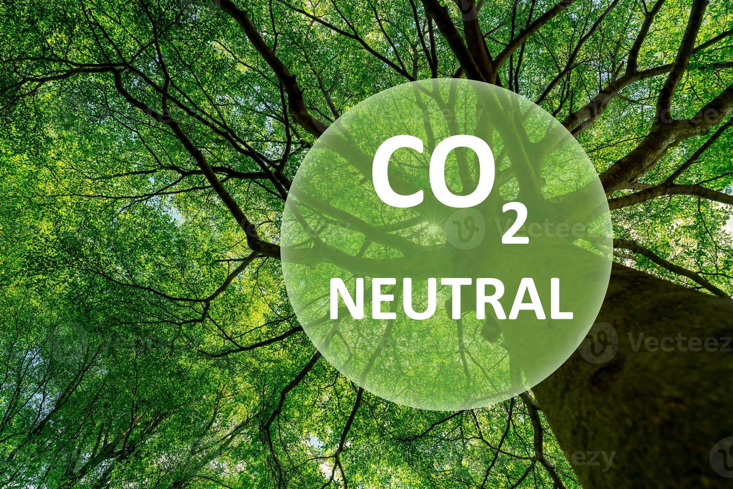 concepto de carbono neutral. co2 neutral en el logo del círculo en el árbol verde en el bosque. fondo del día del medio ambiente y del día de la tierra. Respetuoso del medio ambiente. ecología medio ambiente y conservación. Ir al concepto de negocio verde. foto