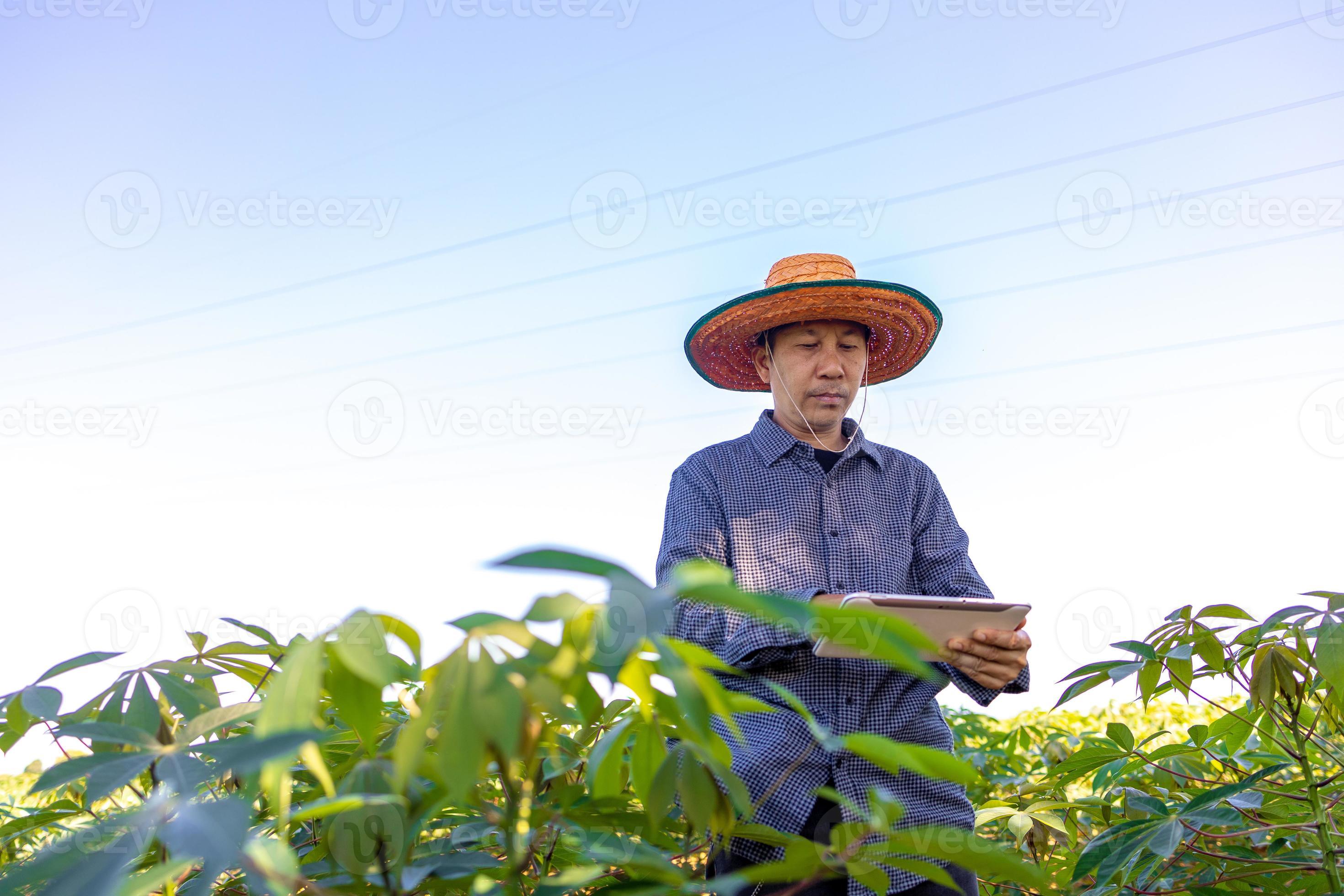 Smart Farmer An Asian man uses a tablet to analyze the crops he grows