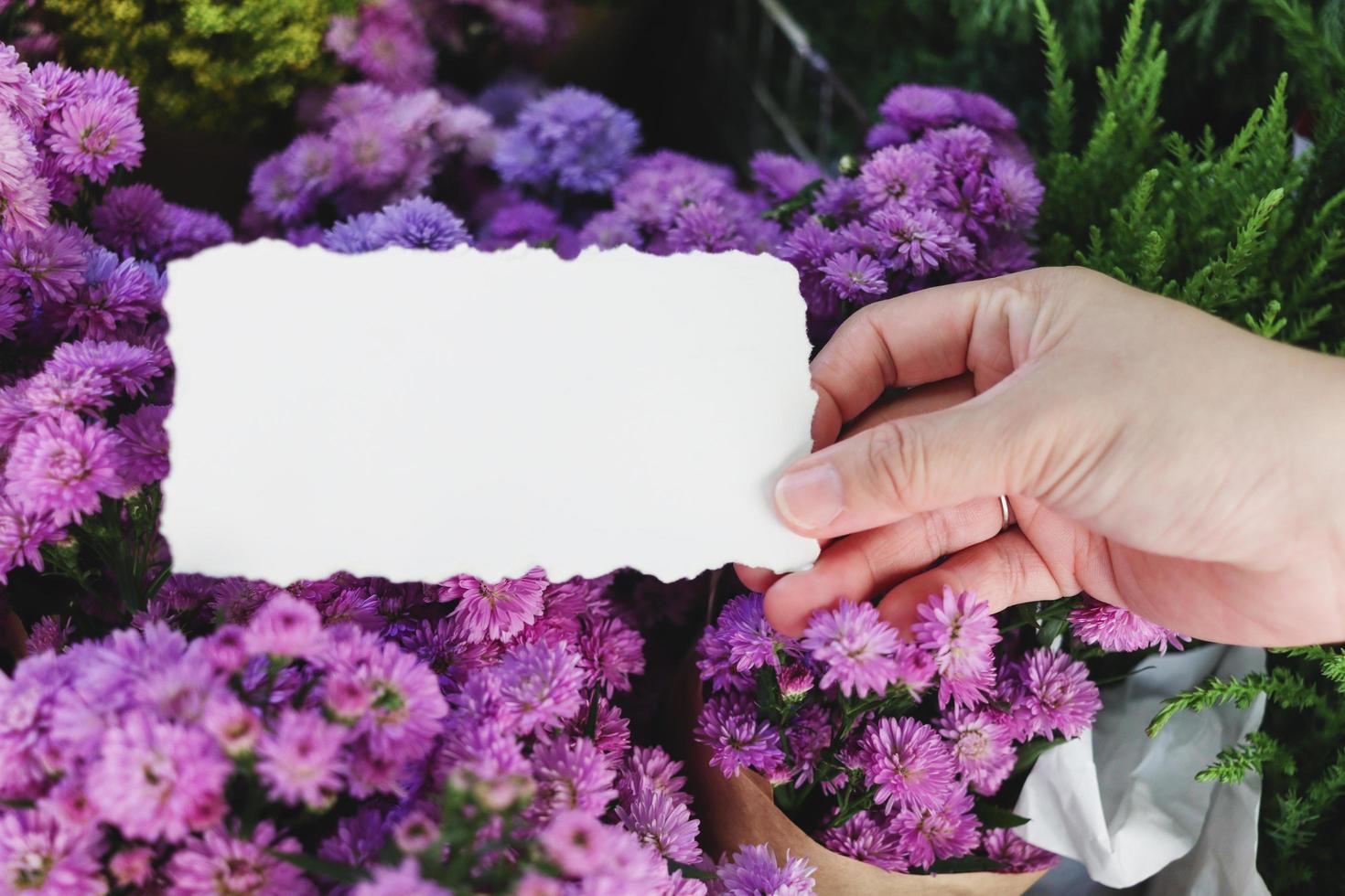 papel de nota en blanco en la mano sobre un hermoso fondo de ramo de flores margaret púrpura, espacio de copia en la tarjeta para poner su mensaje. foto