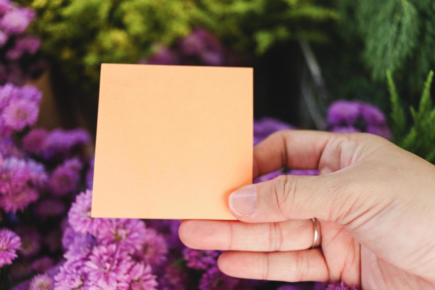 papel de nota en blanco en la mano sobre un hermoso fondo de ramo de flores margaret púrpura, espacio de copia en la tarjeta para poner su mensaje. foto