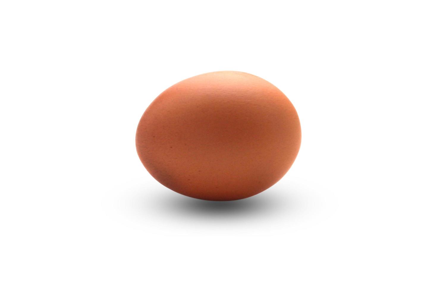 Single brown chicken egg isolated on white background with clipping path photo