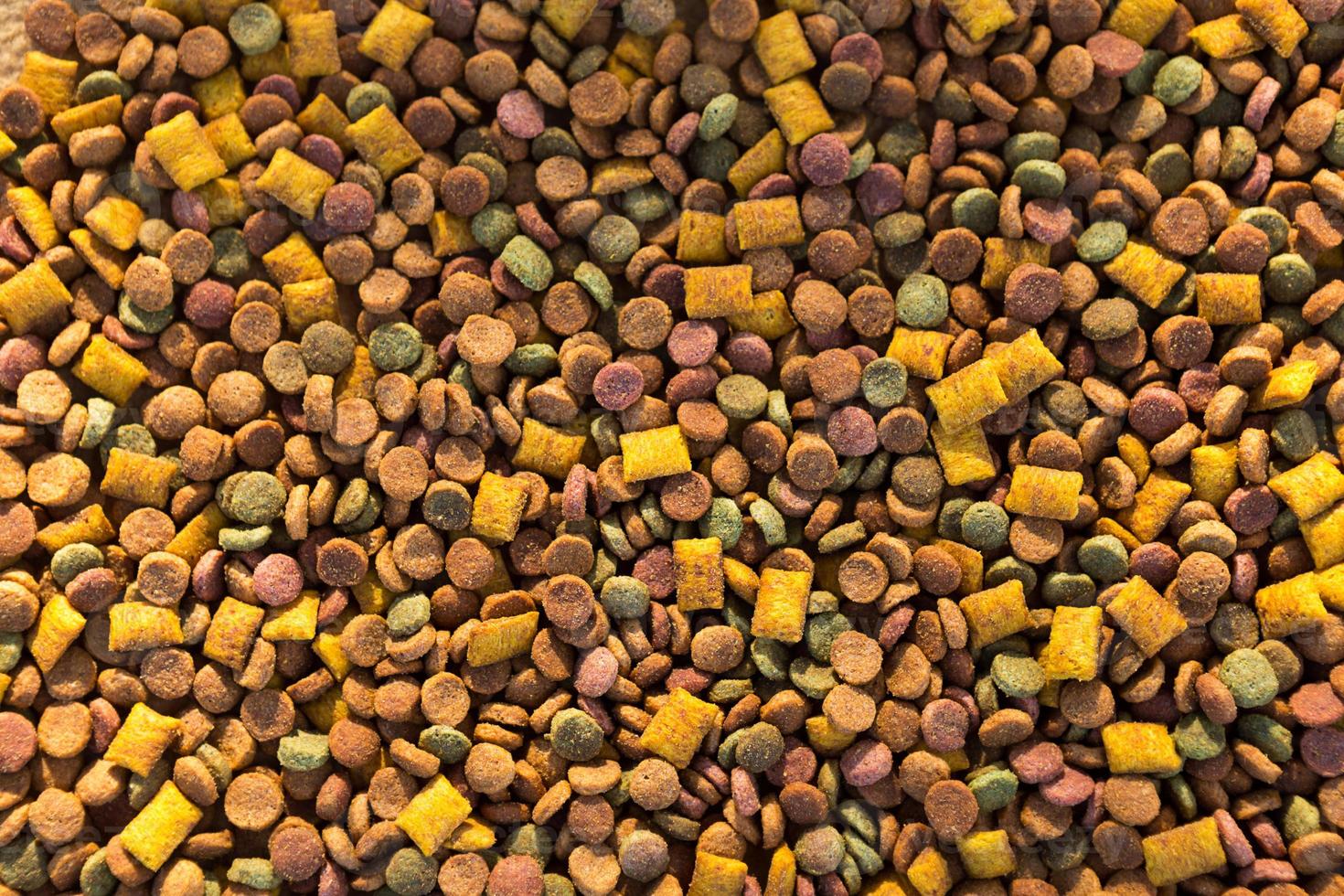 Dry food for cats and dogs close - up-a background of round pellets and pillows with a soft filling-pate. Healthy pet food, copyspace photo