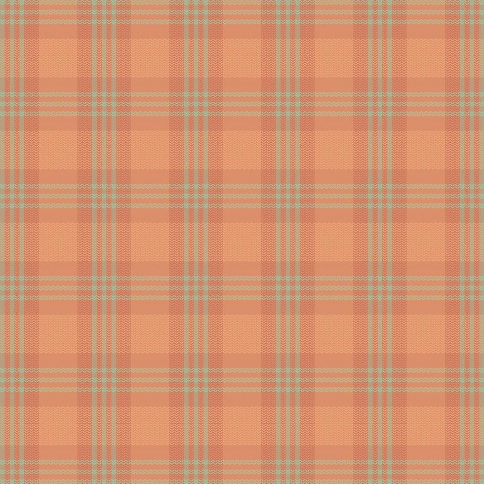 Tartan plaid pattern with texture and nature color. vector