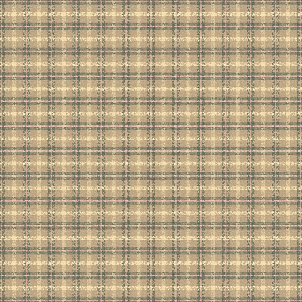 Tartan plaid pattern with texture and nature color. vector