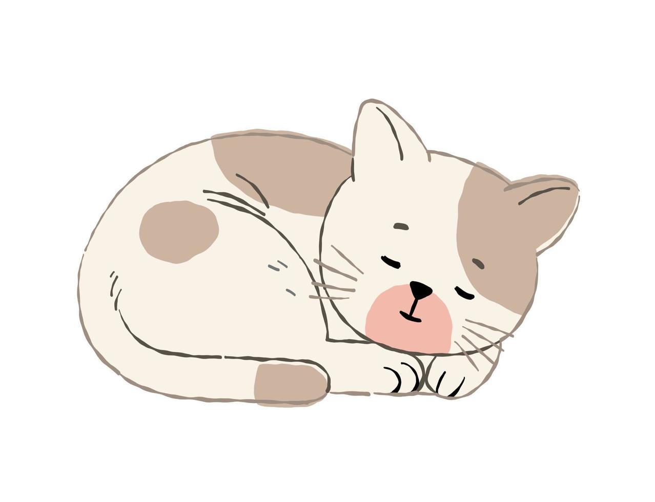 one cute cat sleeping on the floor vector