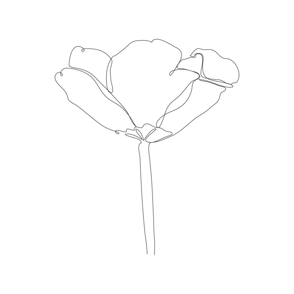 Beautiful blossoming tulip flower in continuous line art drawing style. Minimalist black linear sketch isolated on white background. Vector illustration.