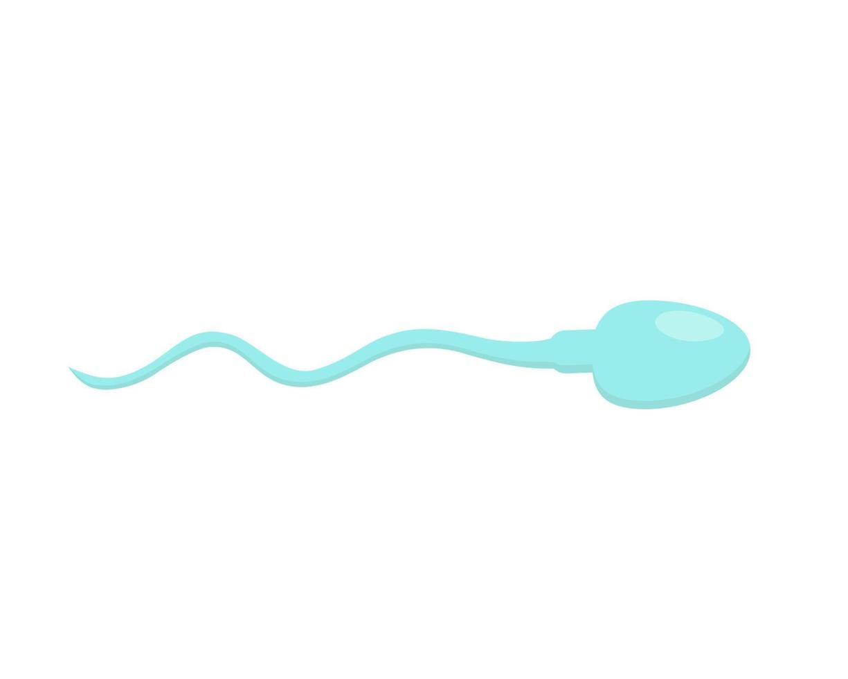 Spermatozoon in cartoon style. vector