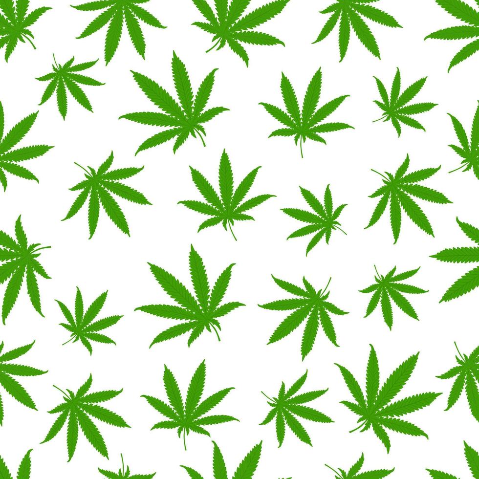 Seamless pattern with hemp leaves on a white background. vector