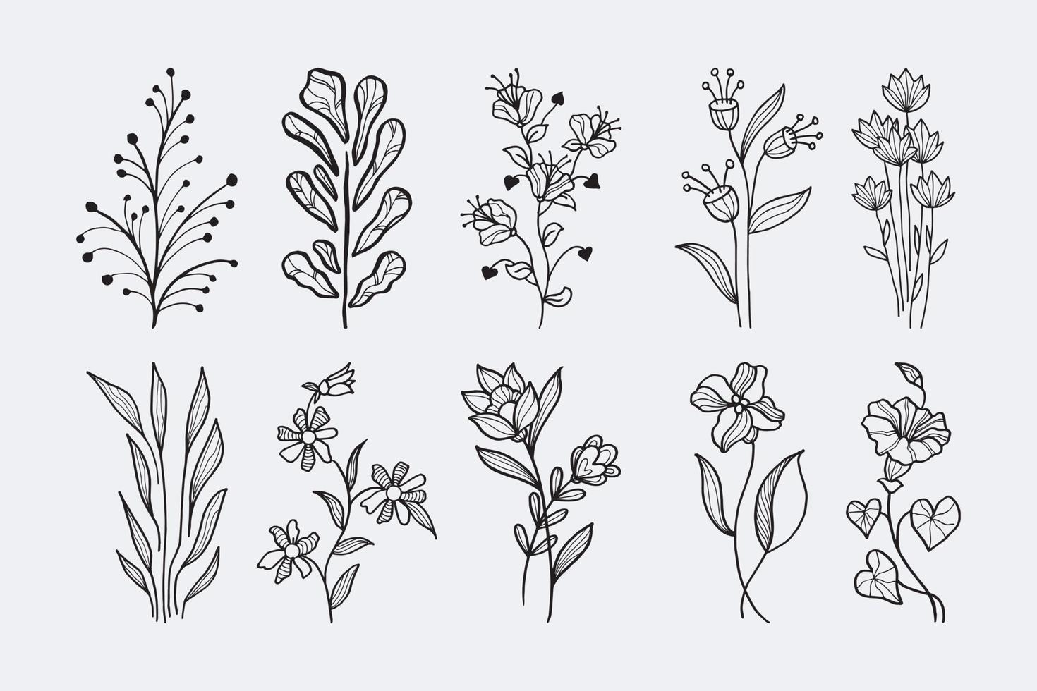 elementos florales de diseño vectorial dibujado a mano vector