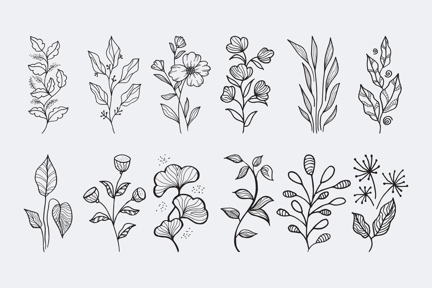 elementos florales de diseño vectorial dibujado a mano vector