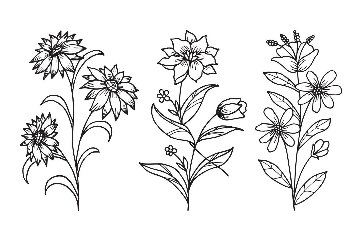 elementos florales de diseño vectorial dibujado a mano vector