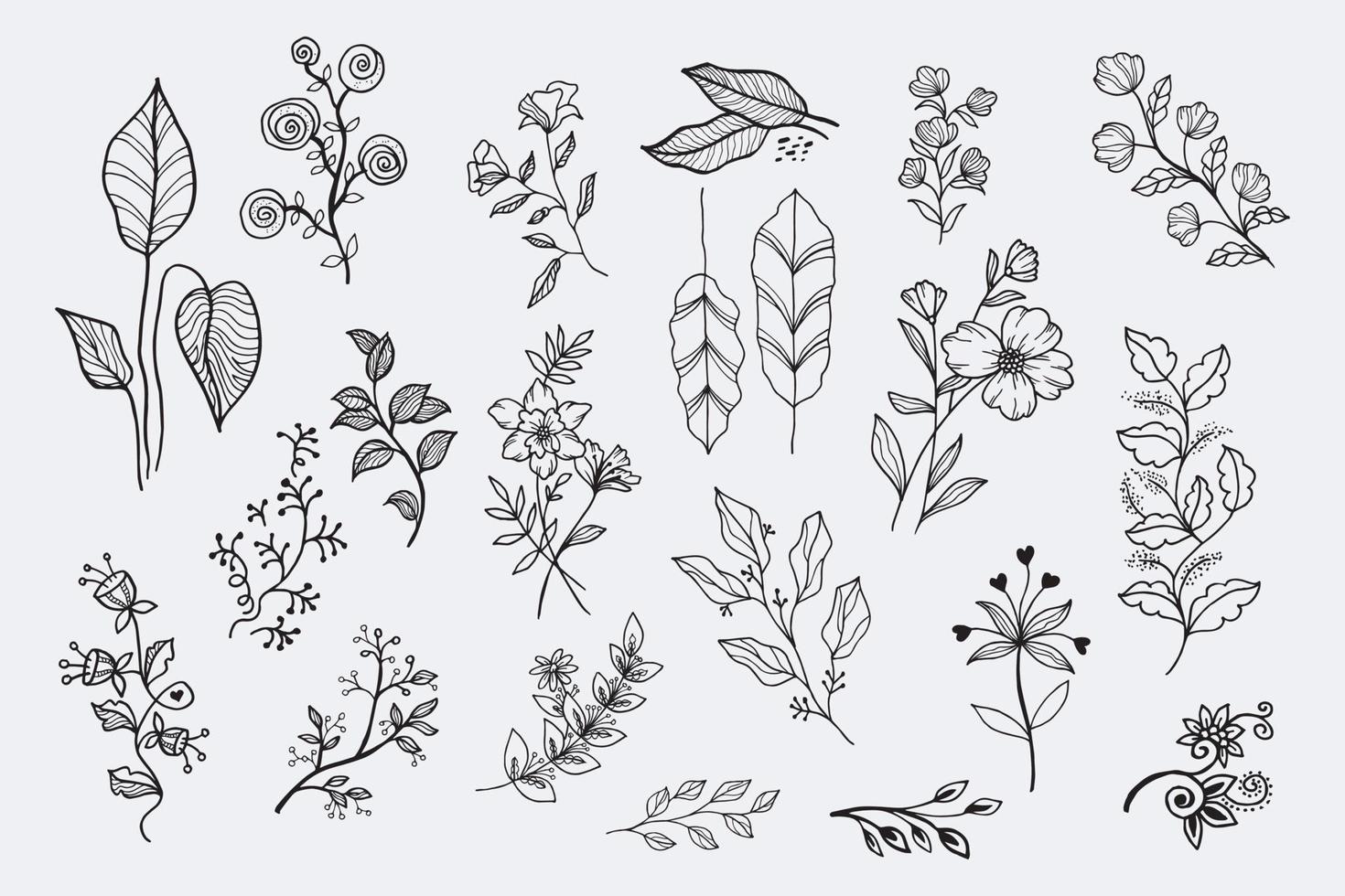 elementos florales de diseño vectorial dibujado a mano vector