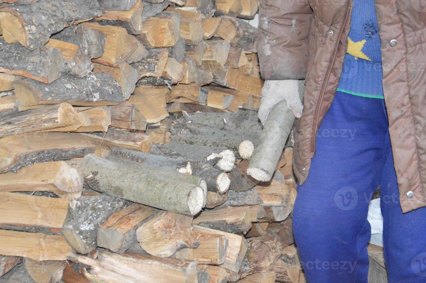 Collecting firewood after cutting for drying and heating the house photo