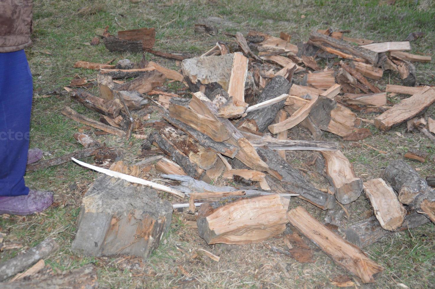 Collecting firewood after cutting for drying and heating the house photo