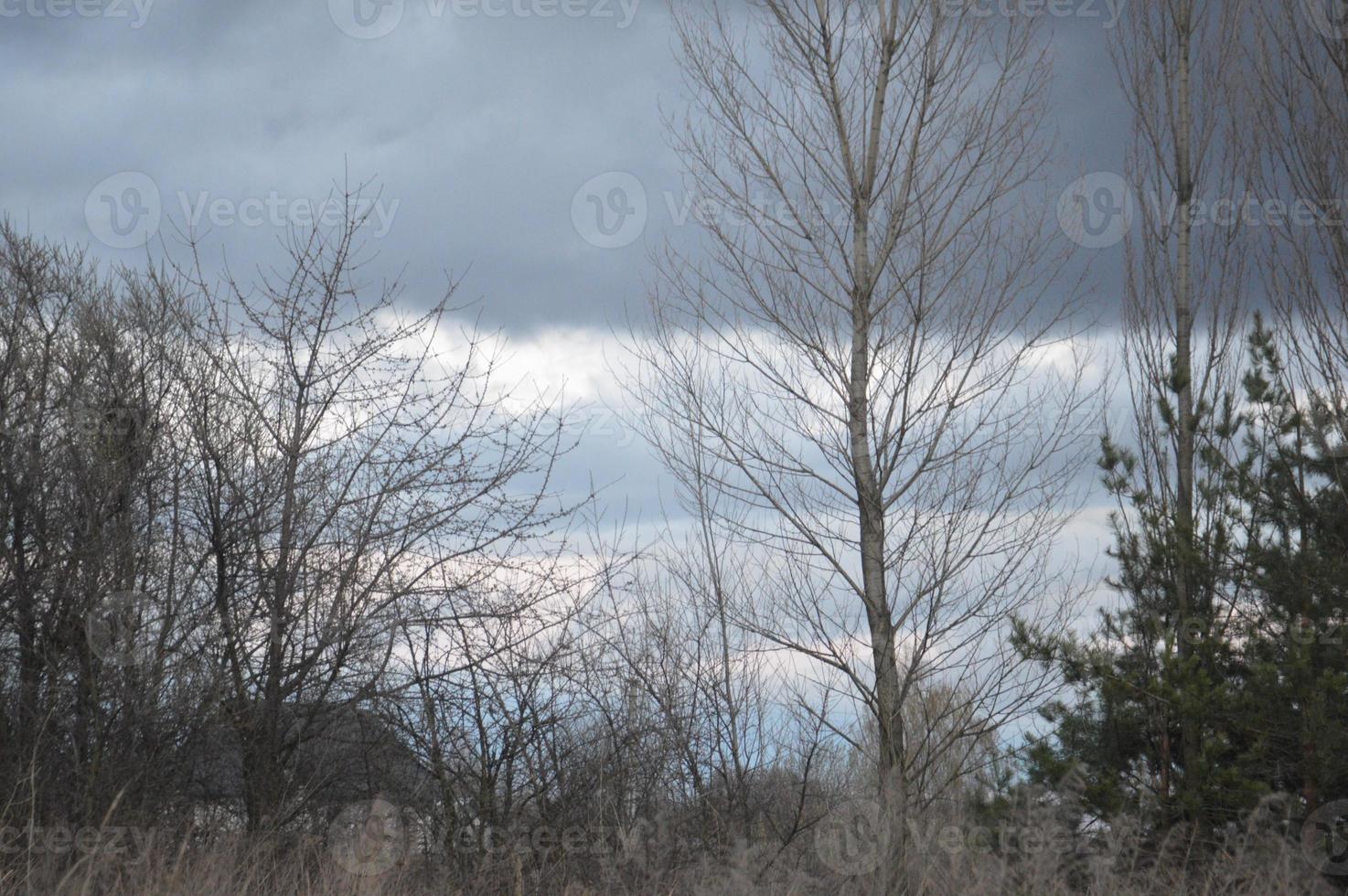 Thunderclouds in the evening on the sky in the village photo